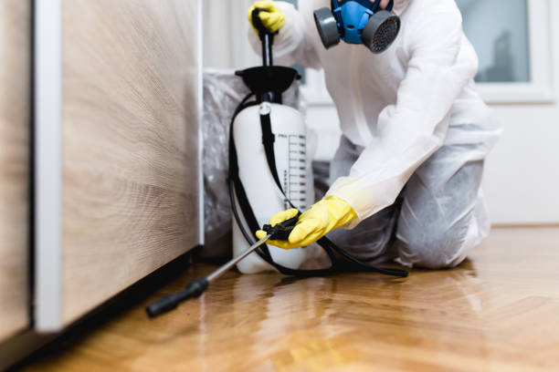 Best Termite Control Services  in Otis Orchards East Farms, WA