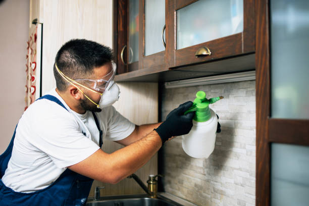 Pest Prevention Services in Otis Orchards East Farms, WA