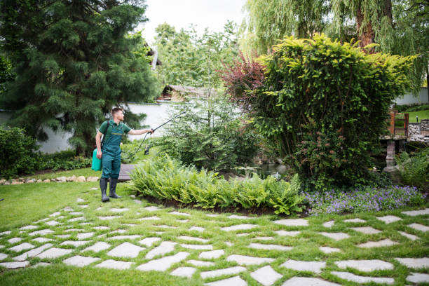 Best Exterminator Services  in Otis Orchards East Farms, WA