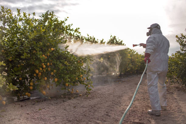 Otis Orchards East Farms, WA Pest Control Company