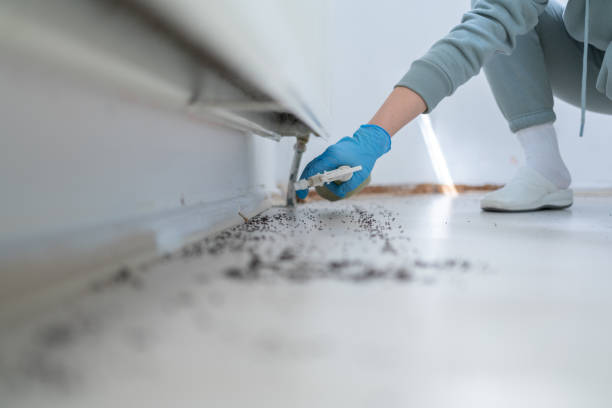 Best Cockroach Control Services  in Otis Orchards East Farms, WA